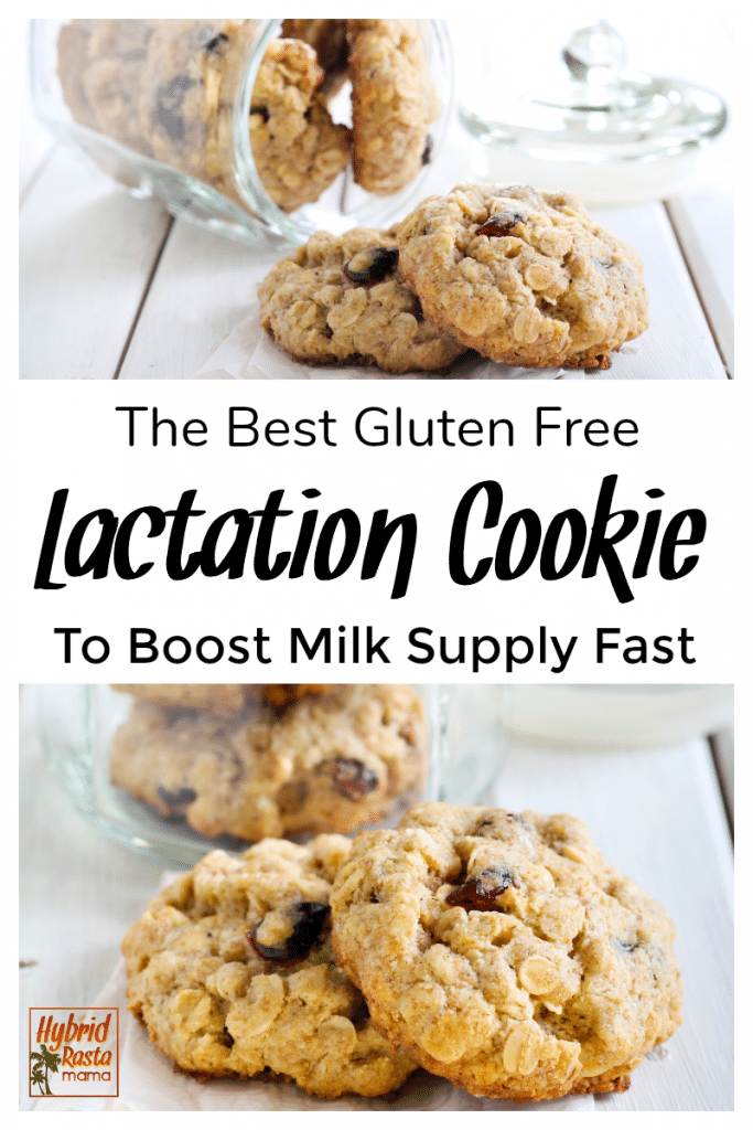 Gluten Free Tigernut Flour Lactation Cookies Hybrid Rasta Mama