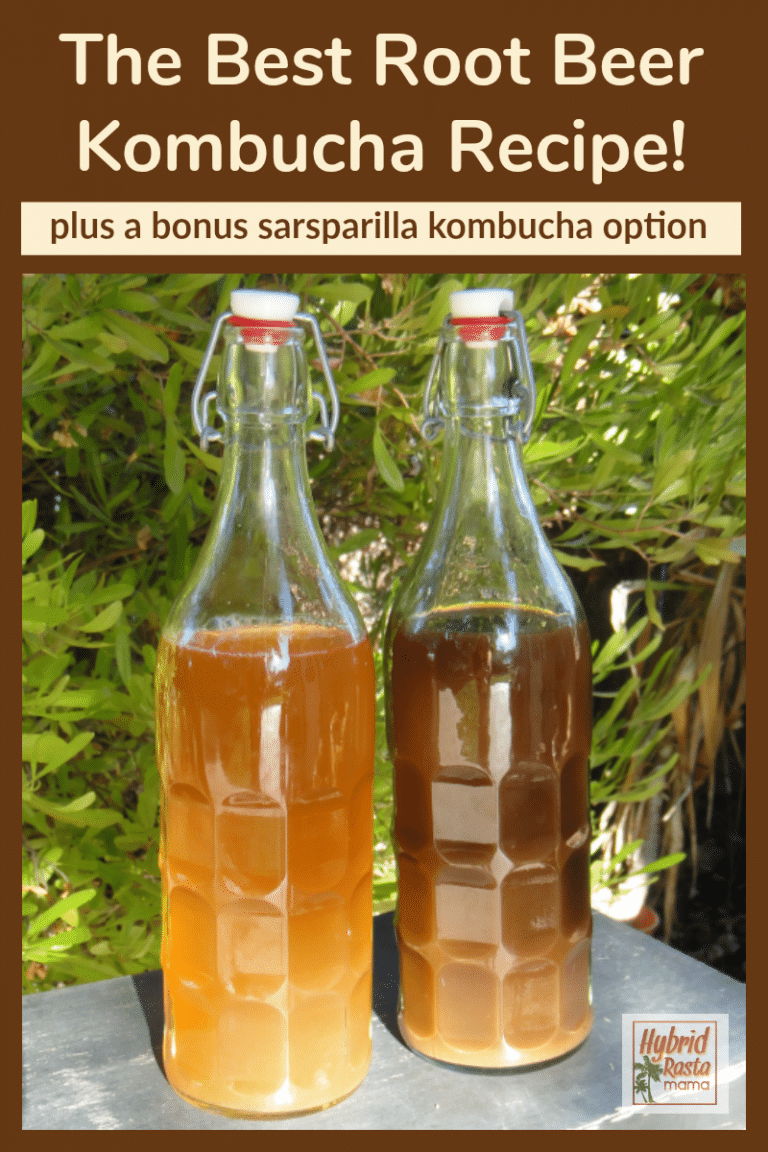 Sarsaparilla Kombucha and Root Beer Kombucha Recipe Hybrid Rasta Mama
