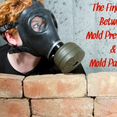 The Fine Line Between Mold Prevention and Mold Paranoia