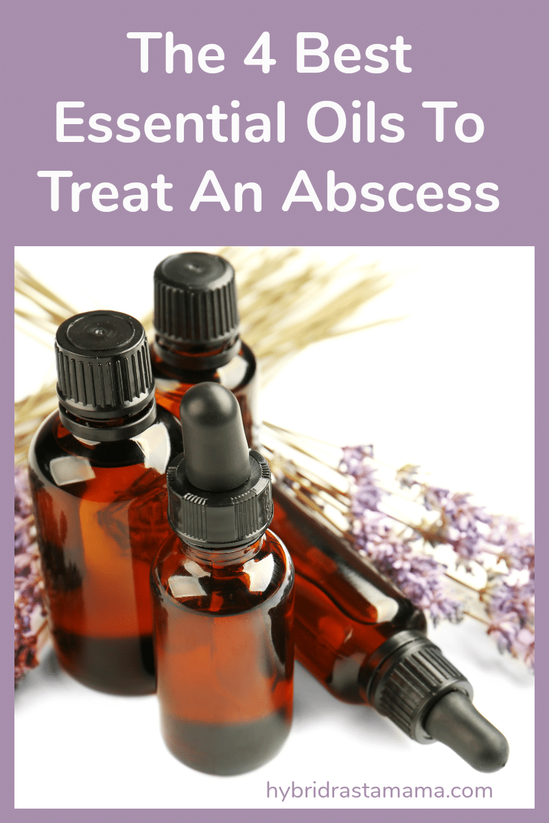 The four best essential oils to treat an abscess with lined up next to sprigs of lavender