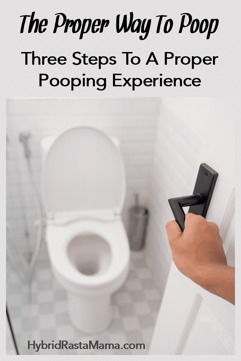 A hand opening a bathroom door to show a white toilet with the seat up. The caption reads "the proper way to poop."