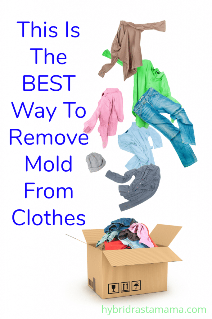 How To Remove Mold From Clothes and Fabrics Hybrid Rasta Mama