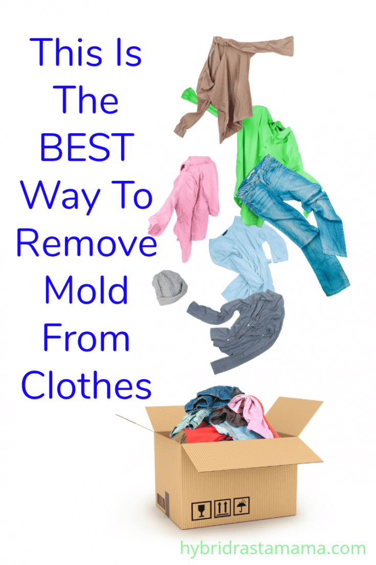 How To Remove Mold From Clothes and Fabrics Hybrid Rasta Mama