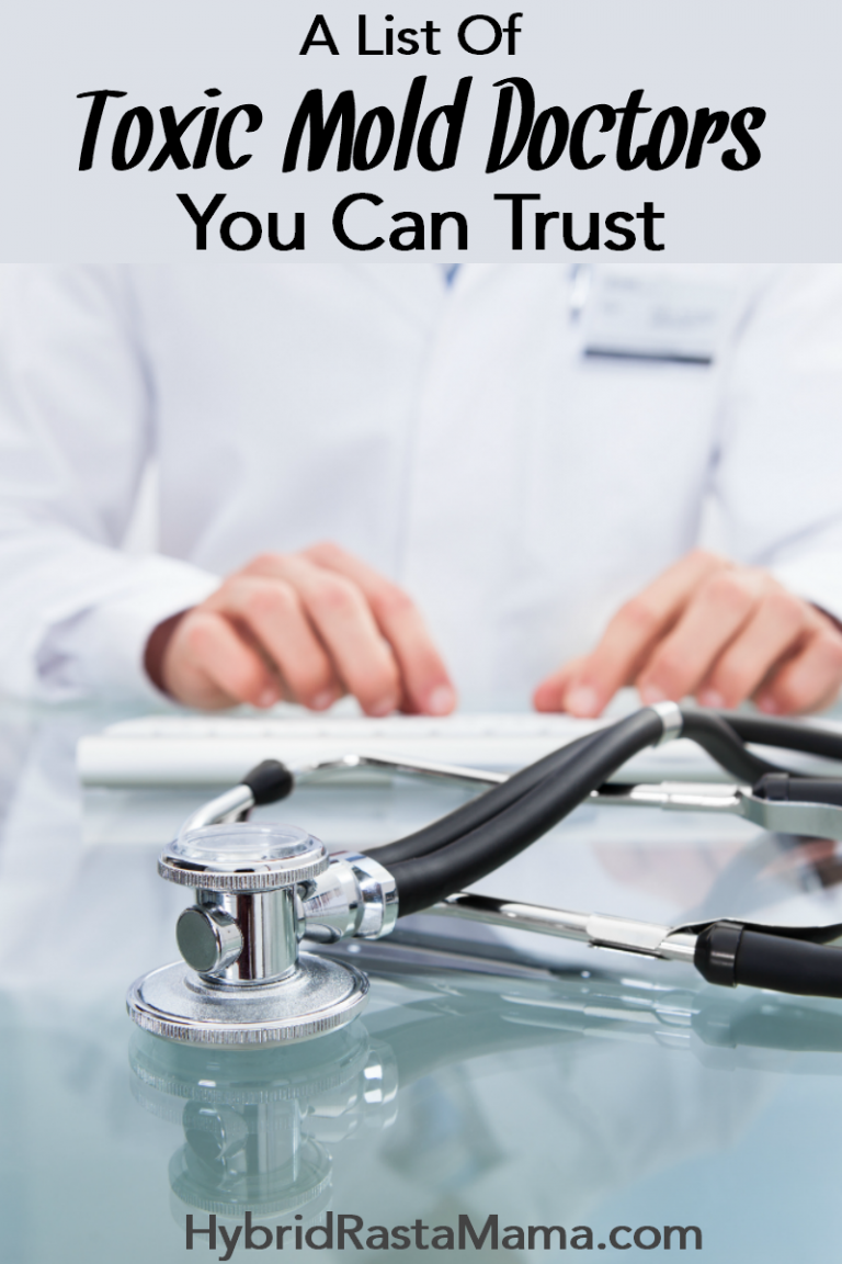 Toxic Mold Doctors – A Comprehensive List | Hybrid Rasta Mama