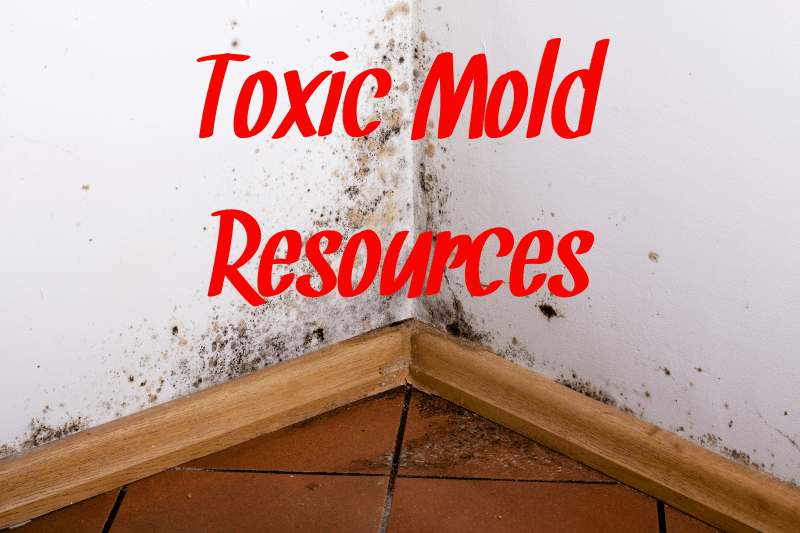 Black mold in the corner of a wall with toxic mold resources written in red