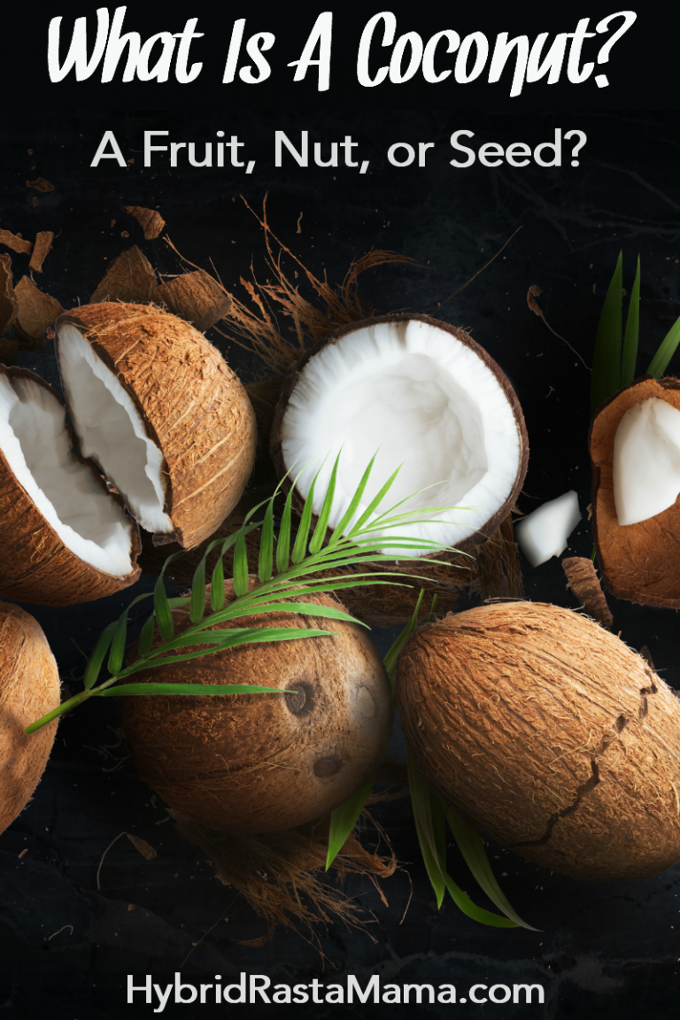 What Is A Coconut? Is Coconut A Fruit? Is Coconut A Nut? A Seed