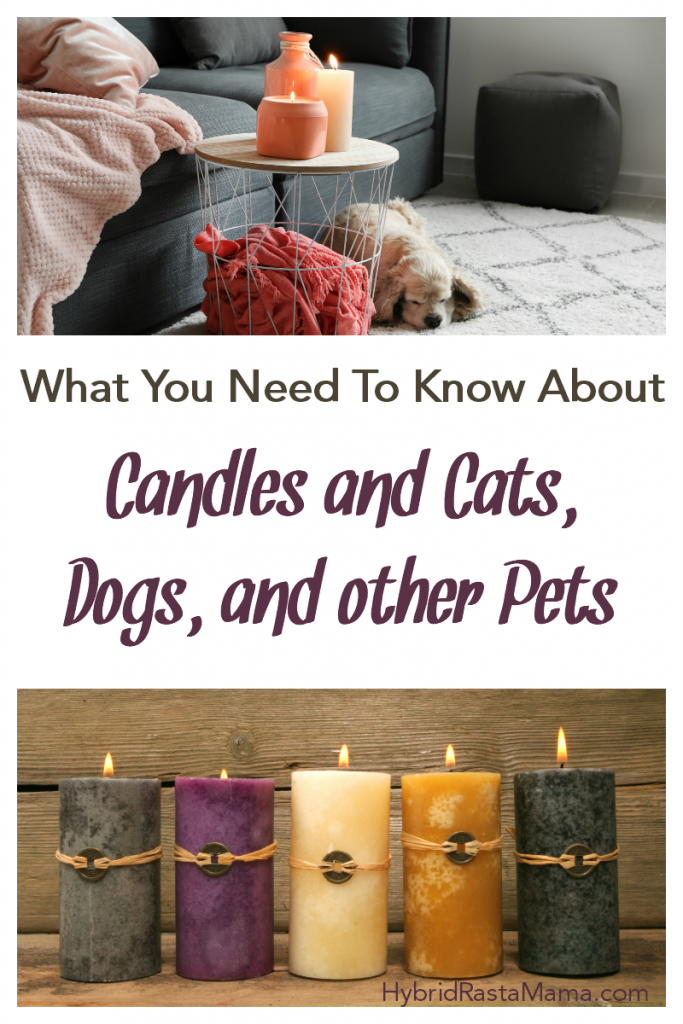 What You Need To Know About Candles and Cats, Dogs, and Other Pets