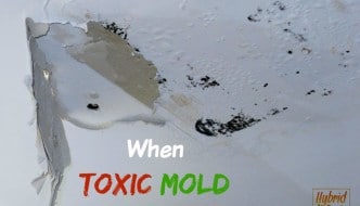 Mold on ceiling from water damage - mold strikes twice