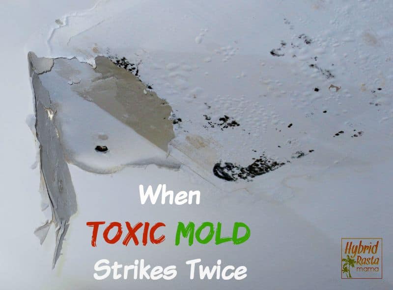 When Toxic Mold Strikes Twice