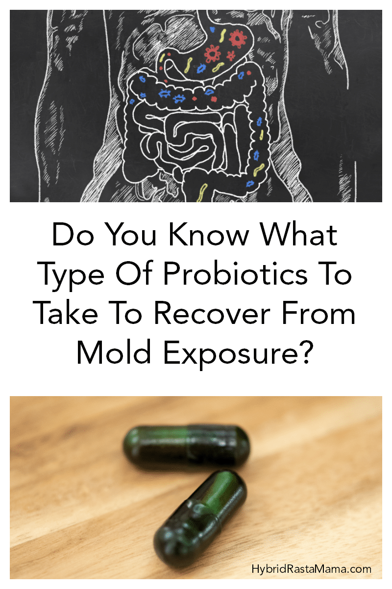Seed probiotic capsules and a drawing of a gut after mold exposure