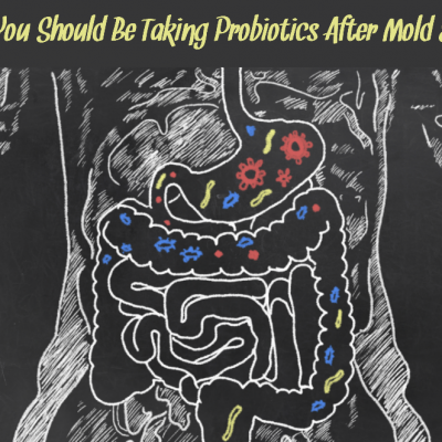 7 Signs You Should Be Taking Probiotics After Mold Exposure
